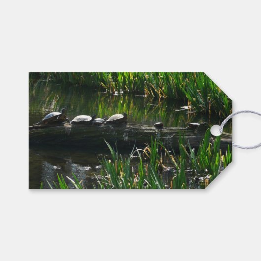 Rij van de groene Natuur van Turtles Foto Cadeaulabel (Voorkant (Horizontaal))