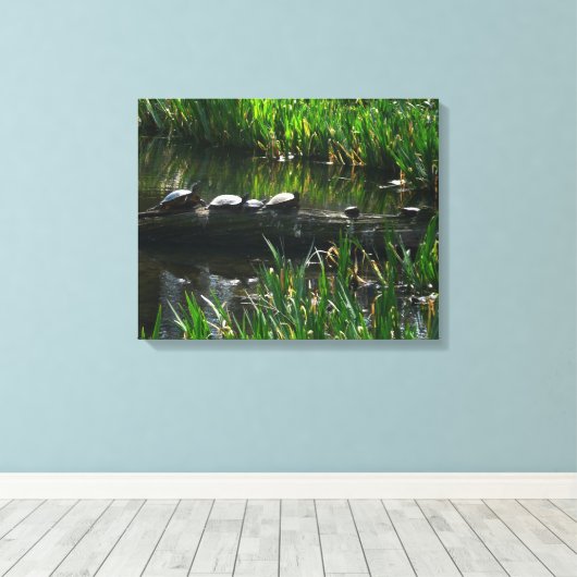 Rij van de groene Natuur van Turtles Foto Canvas Afdruk (Insitu (Houten vloer))
