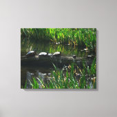 Rij van de groene Natuur van Turtles Foto Canvas Afdruk (Voorkant)