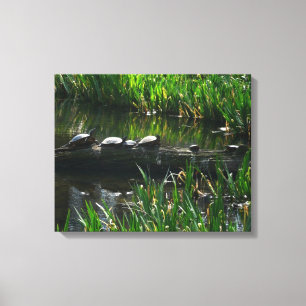Rij van de groene Natuur van Turtles Foto Canvas Afdruk