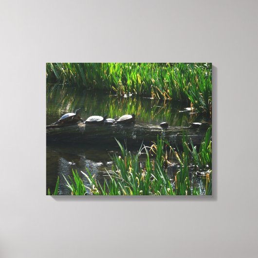 Rij van de groene Natuur van Turtles Foto Canvas Afdruk (Voorkant)