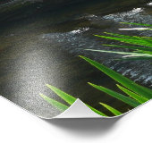 Rij van de groene Natuur van Turtles Foto Foto Afdruk (Hoek)