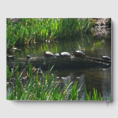 Rij van de groene Natuur van Turtles Foto Gastenboek (Achterkant)