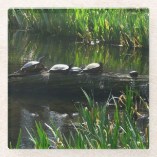 Rij van de groene Natuur van Turtles Foto Glazen Onderzetter