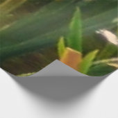 Rij van de groene Natuur van Turtles Foto Houten Poster (Hoek)