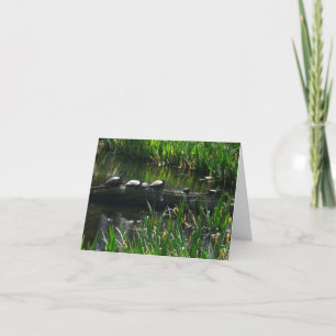 Rij van de groene Natuur van Turtles Foto Kaart