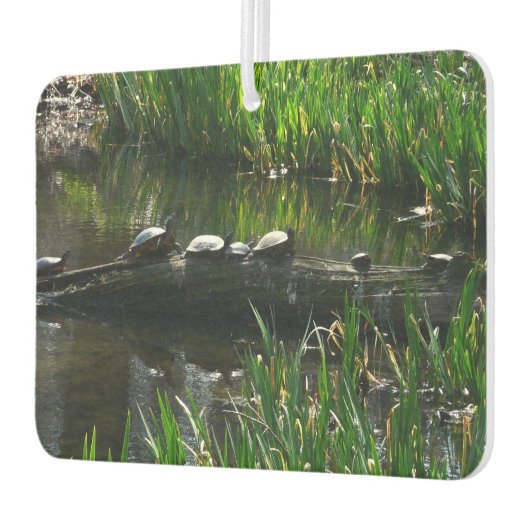 Rij van de groene Natuur van Turtles Foto Luchtverfrisser (Links)