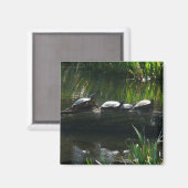 Rij van de groene Natuur van Turtles Foto Magneet (Voorkant / Achterkant)
