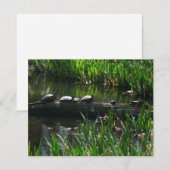 Rij van de groene Natuur van Turtles Foto Notitiekaartje (Voorkant / Achterkant)