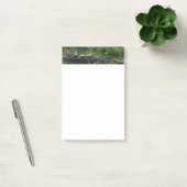 Rij van de groene Natuur van Turtles Foto Post-it® Notes (Kantoor)