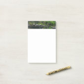 Rij van de groene Natuur van Turtles Foto Post-it® Notes (Op bureau)