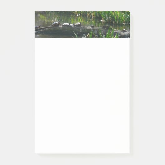 Rij van de groene Natuur van Turtles Foto Post-it® Notes (Voorkant)
