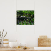Rij van de groene Natuur van Turtles Foto Poster (Keuken)