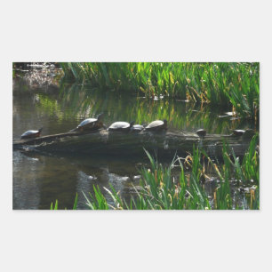 Rij van de groene Natuur van Turtles Foto Rechthoekige Sticker