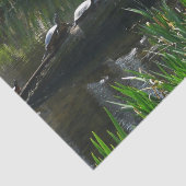 Rij van de groene Natuur van Turtles Foto Tissuepapier (Detail)