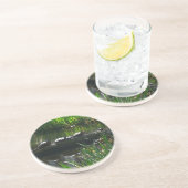 Rij van de groene Natuur van Turtles Foto Zandsteen Onderzetter (Zijkant)