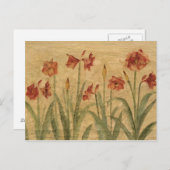 Rij van Red Amaryllis Briefkaart (Voorkant / Achterkant)