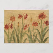 Rij van Red Amaryllis Briefkaart (Voorkant)