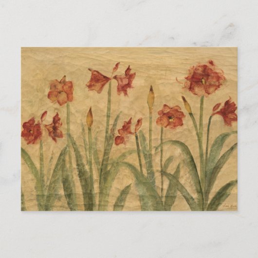 Rij van Red Amaryllis Briefkaart (Voorkant)