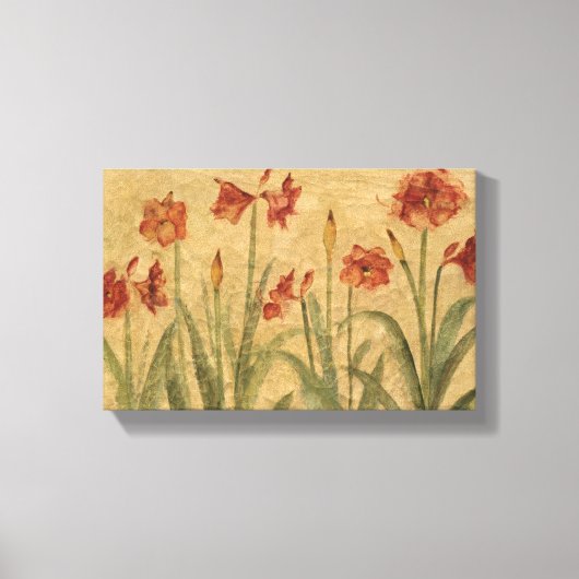 Rij van Red Amaryllis Canvas Afdruk (Voorkant)