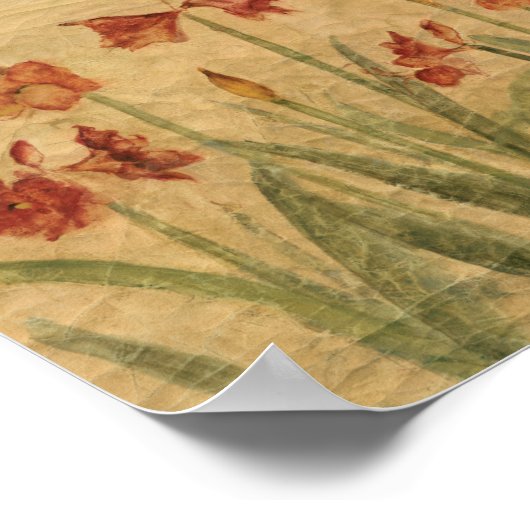 Rij van Red Amaryllis Poster (Hoek)