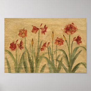 Rij van Red Amaryllis Poster