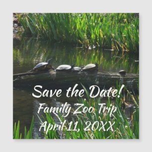 Rij van schildpadden groene natuur foto