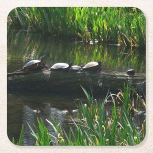 Rij van schildpadden groene natuur foto kartonnen onderzetters