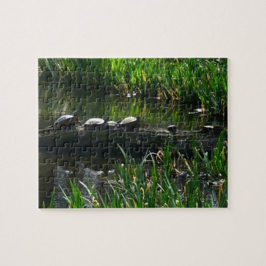 Rij van schildpadden groene natuur foto legpuzzel (Horizontaal)