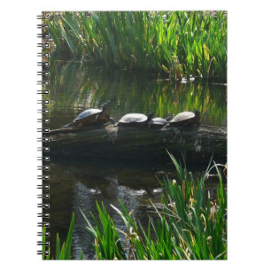 Rij van schildpadden groene natuur foto notitieboek