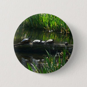 Rij van schildpadden groene natuur foto ronde button 5,7 cm