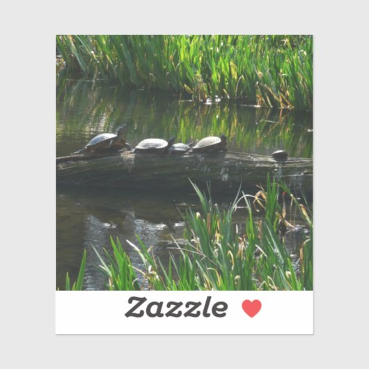 Rij van schildpadden groene natuur foto sticker (Vel)