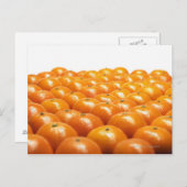 Rij van sinaasappels briefkaart (Voorkant / Achterkant)