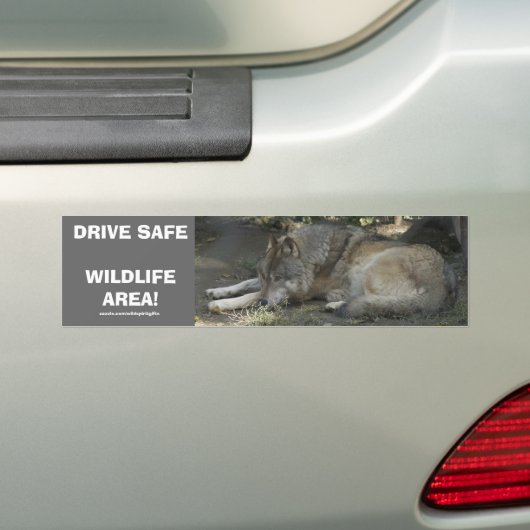 RIJ VEILIG WILDLIFE GREY WOLF BUMPERSTICKER (Op auto)