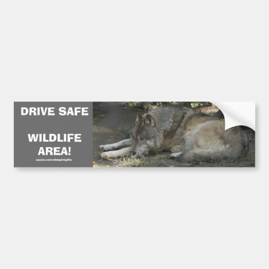 RIJ VEILIG WILDLIFE GREY WOLF BUMPERSTICKER (Voorkant)