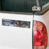RIJ VEILIG WILDLIFE GREY WOLF BUMPERSTICKER (Op Truck)