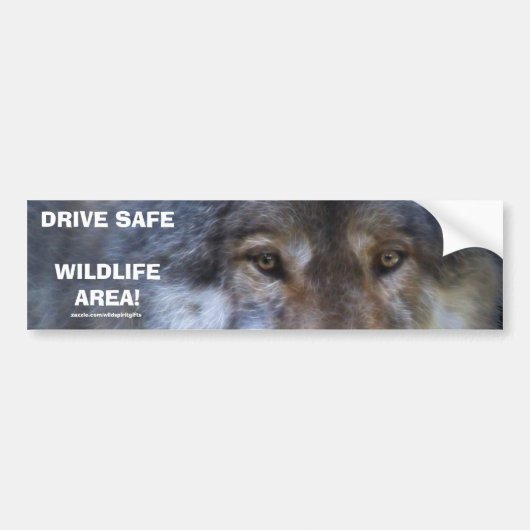 RIJ VEILIG WILDLIFE GREY WOLF BUMPERSTICKER (Voorkant)