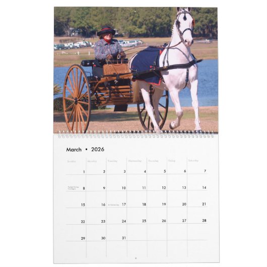 RIJBESTURING KALENDER (Mar 2026)