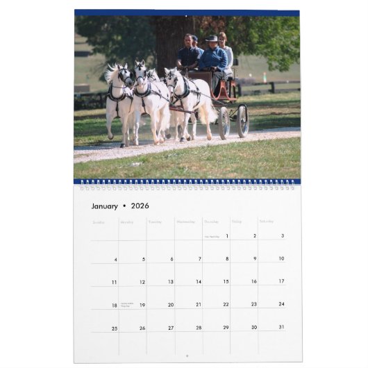 RIJBESTURING KALENDER (Jan 2026)