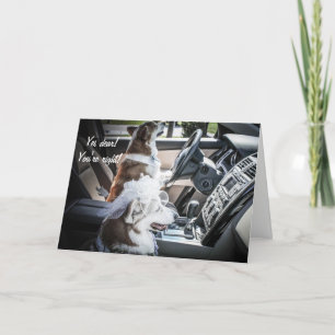 Rijbewijs Corgis Jubileum Card Kaart