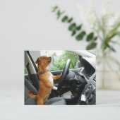 Rijbewijs felicitatiekaart briefkaart (Staand voorkant)