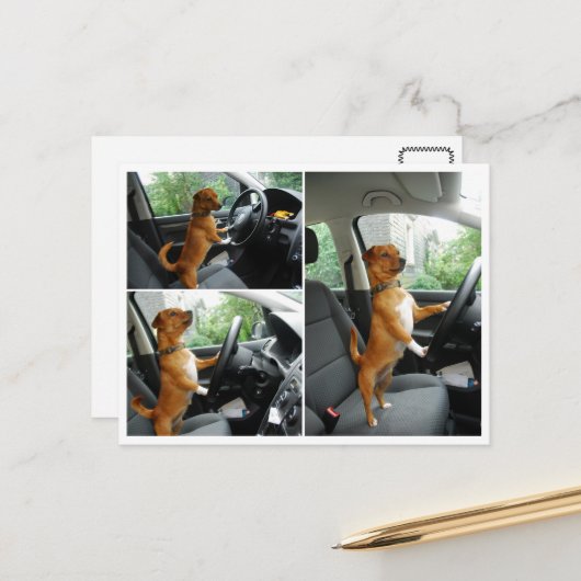 Rijbewijs felicitatiekaart briefkaart (Voorkant / Achterkant in situ)