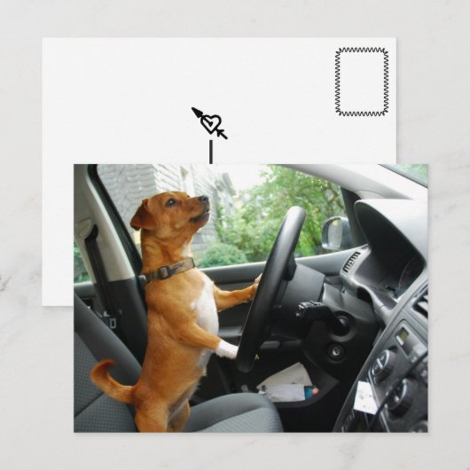 Rijbewijs felicitaties kaart (Voorkant / Achterkant)