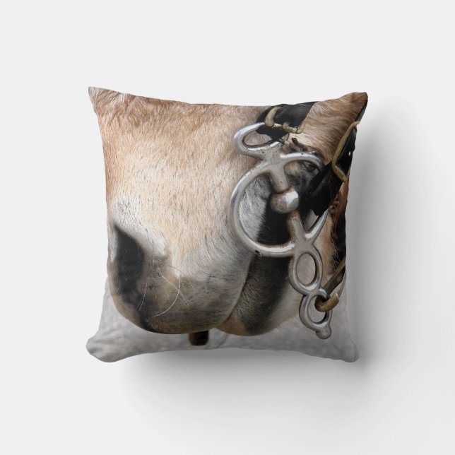 Rijbit Kussen (Voorkant)