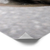 Rijbit Poster (Hoek)