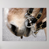 Rijbit Poster (Voorkant)