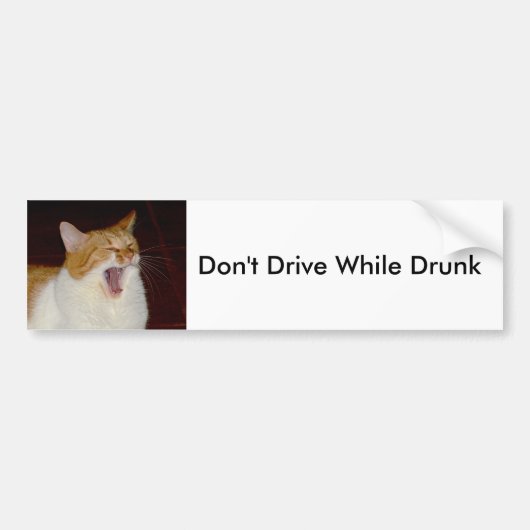 Rijd niet met drink Cat Bumpersticker (Voorkant)