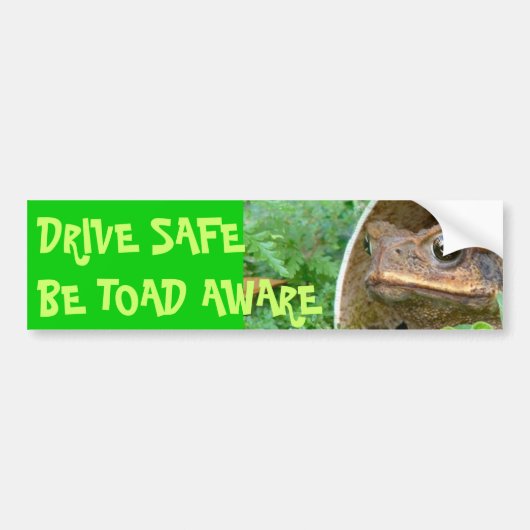 RIJD VOORZICHTIG - WEES PADDENBEWUST BUMPERSTICKER (Voorkant)