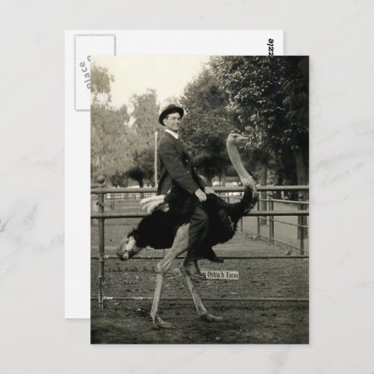 Rijden 1910 briefkaart (Voorkant / Achterkant)