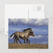 Rijden Briefkaart (Voorkant / Achterkant)